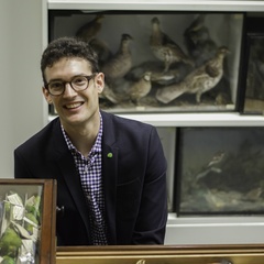 Daniel Field
