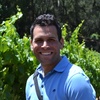 Nicholas Tosca