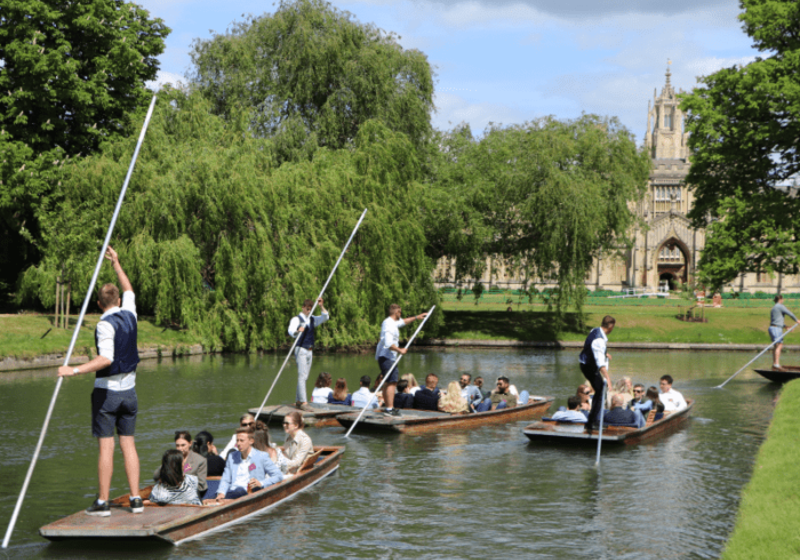 Cambridge Backs