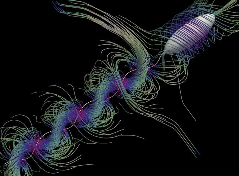 Numerical simulation of the flow field created by a swimming bacterium (D. Das and E. Lauga)