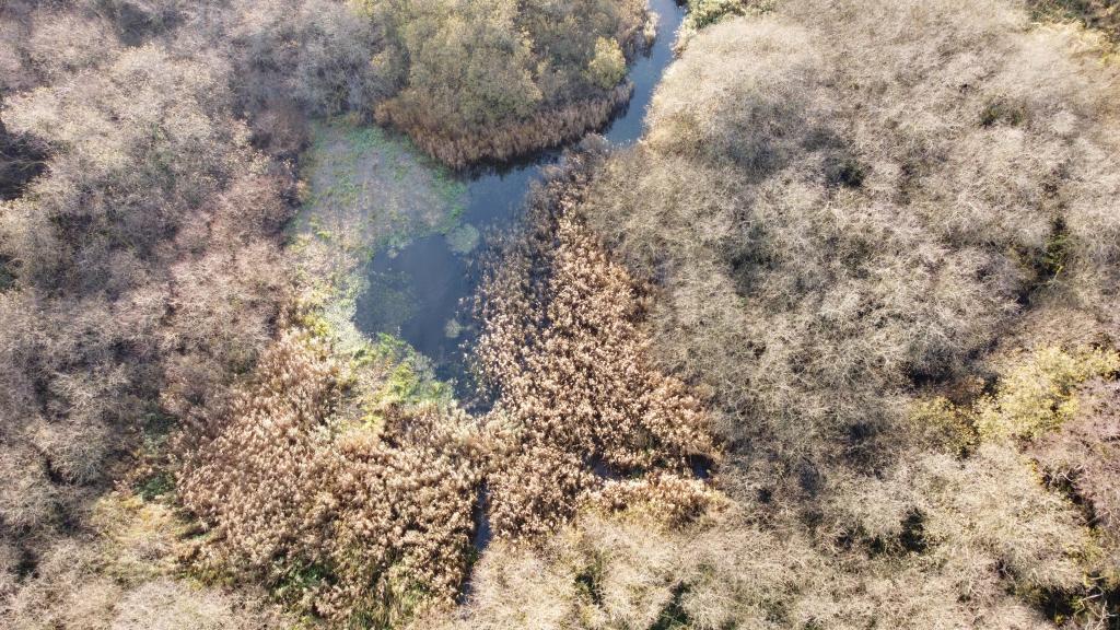 Drone footage of a patchwork habitat including wet woodland in Norfolk. 