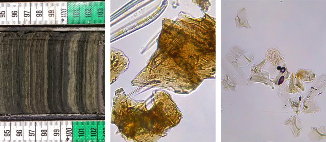 Three photographs. The first shows a ~10 cm segment of the Lake Chala sediment record with mm-scale laminations and a tephra layer picked out by their alternations in colour. Two other panels show tephra glass shards under the microscope.