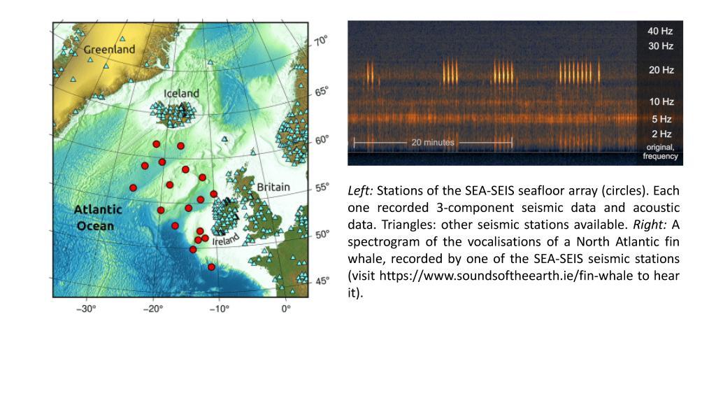 SEA-SEIS network and whale songs